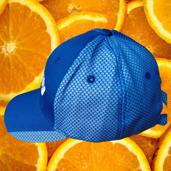 Chewy Blue Mesh Trucker Hat Baseball Cap Adjustable Men - Picture 2 of 5